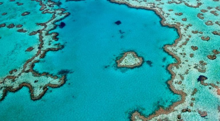 Great Barrier Reef – Seven Wonders | 7 Wonders of the World