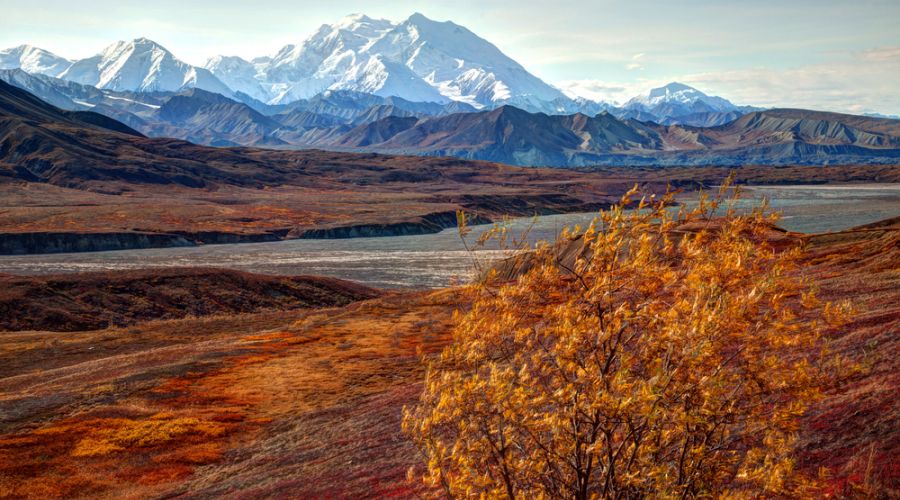 Mt. McKinley: Mystery Revealed