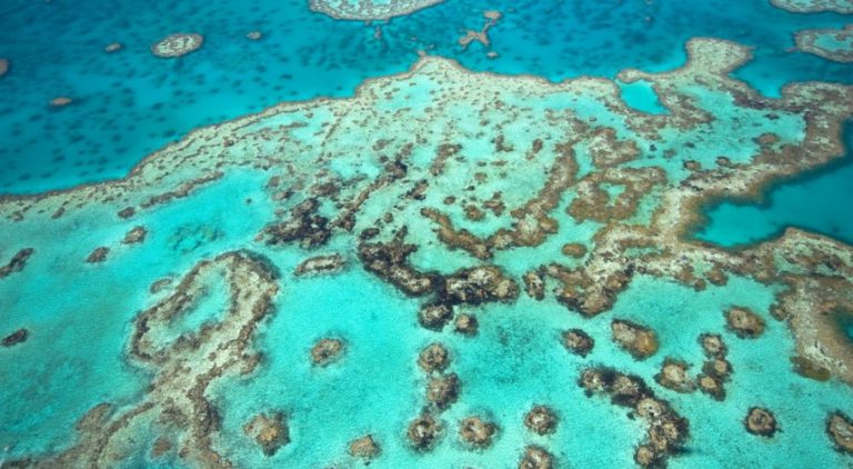 Great Barrier Reef – Seven Wonders | 7 Wonders of the World