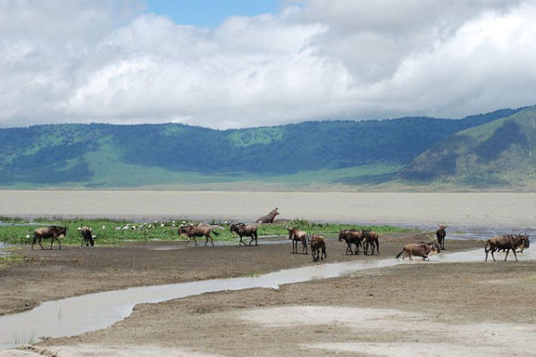 Ngorongoro Crater – Seven Wonders  7 Wonders of the World